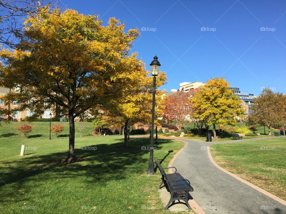 Fall in Alexandria, Virginia 