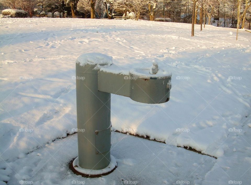 Water fountain in the snow