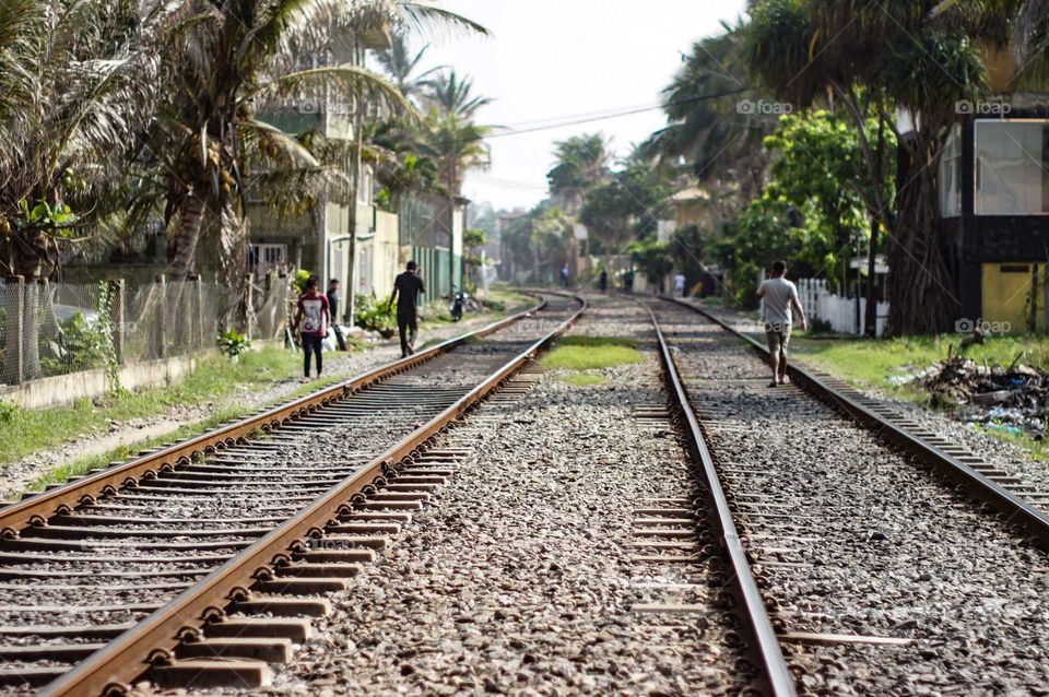 Path for train and pedestrians