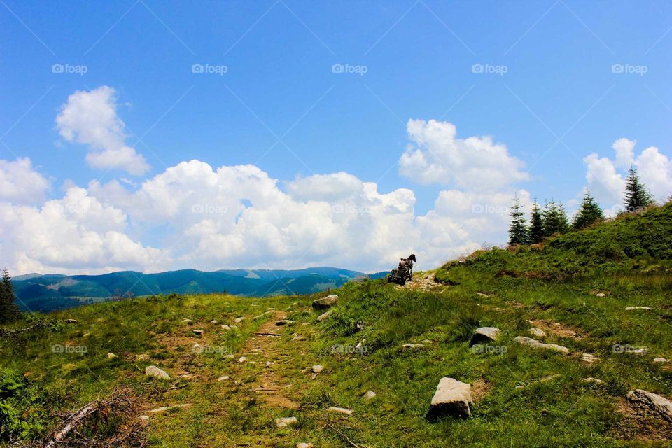 Road in the mountains