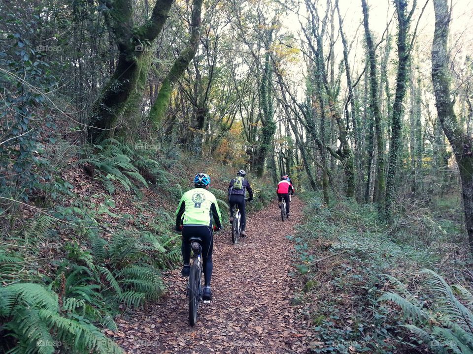 Autumn cycling