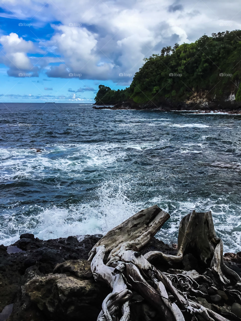 Ocean view at Hawaii Tropical Botanical Garden