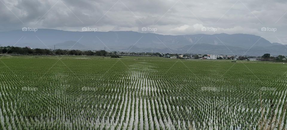 beautiful landscape with a mountain and a river