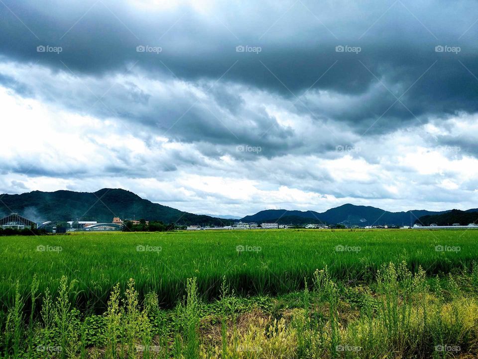 A Beautiful Dramatic Sky