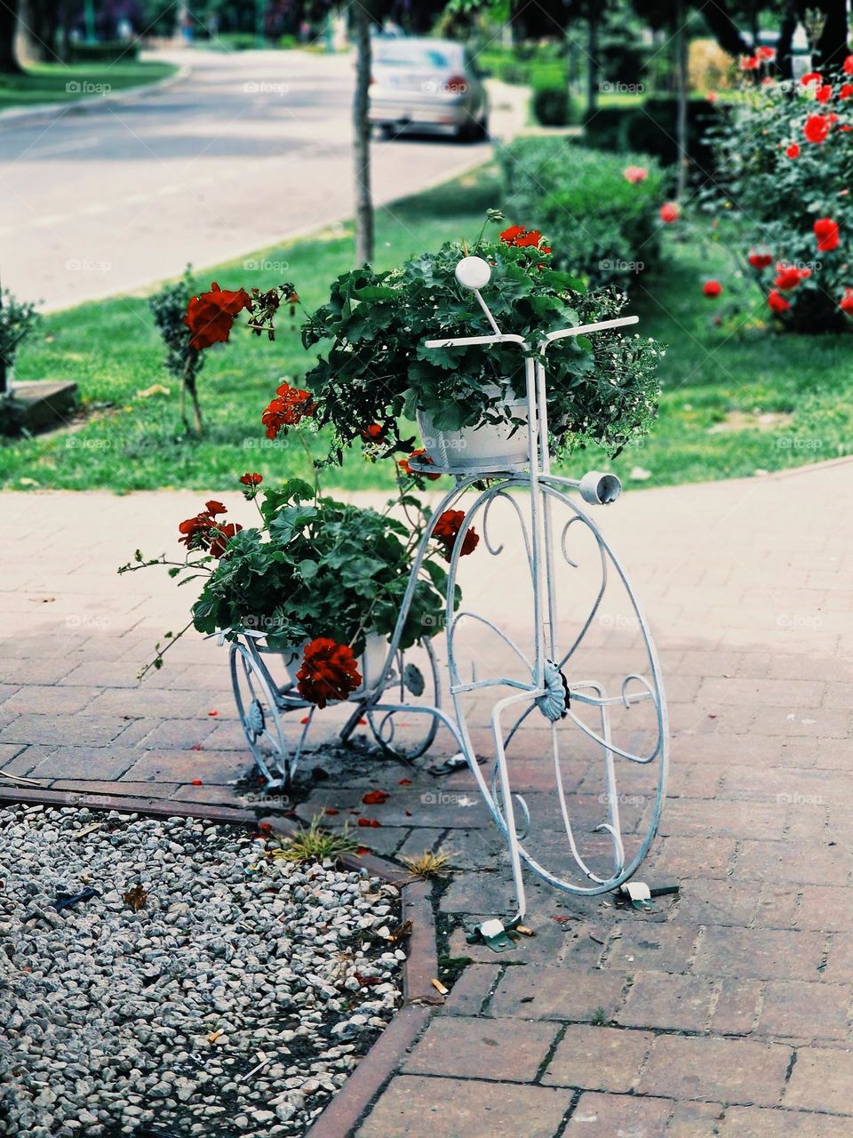 bicycle with flower