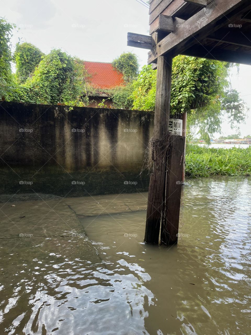 This is my aunt's house, built on the bank of the Chao Phraya River, which is flooded every year.