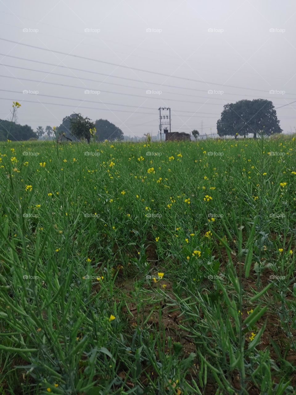 beautiful😍 photo📸