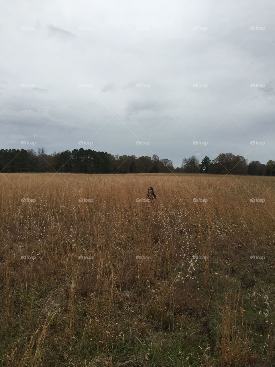 Field with person sitting hidden