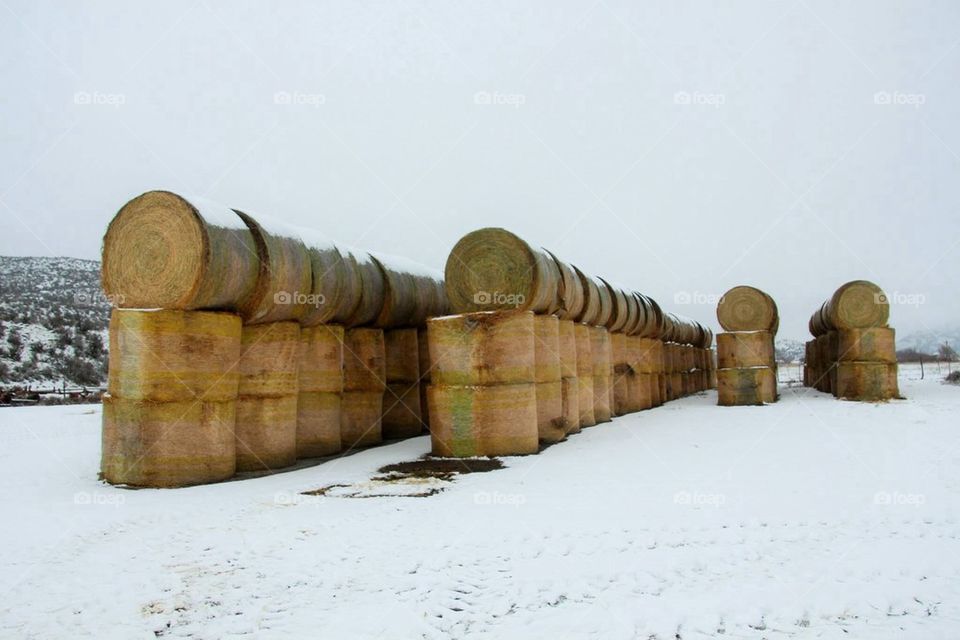 pile of hay 2