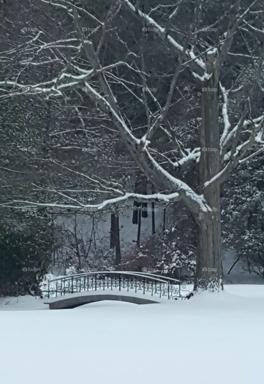 Little Black Bridge in the Snow
