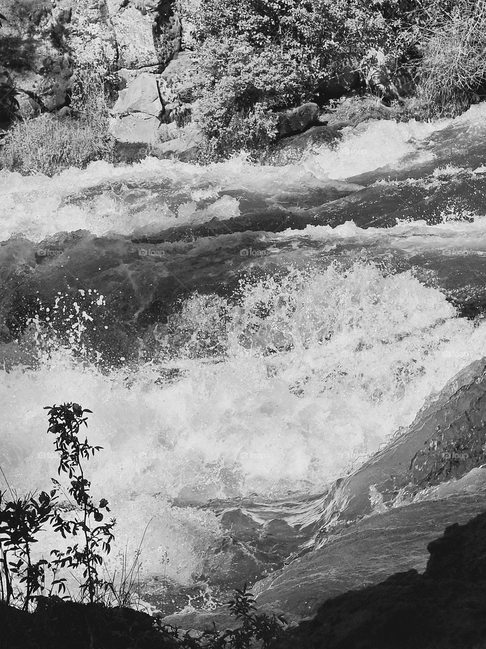 The waters of the Deschutes River at Dillon Falls in Central Oregon breaks against boulders in the river creating a spectacular image of detailed whitewater. 