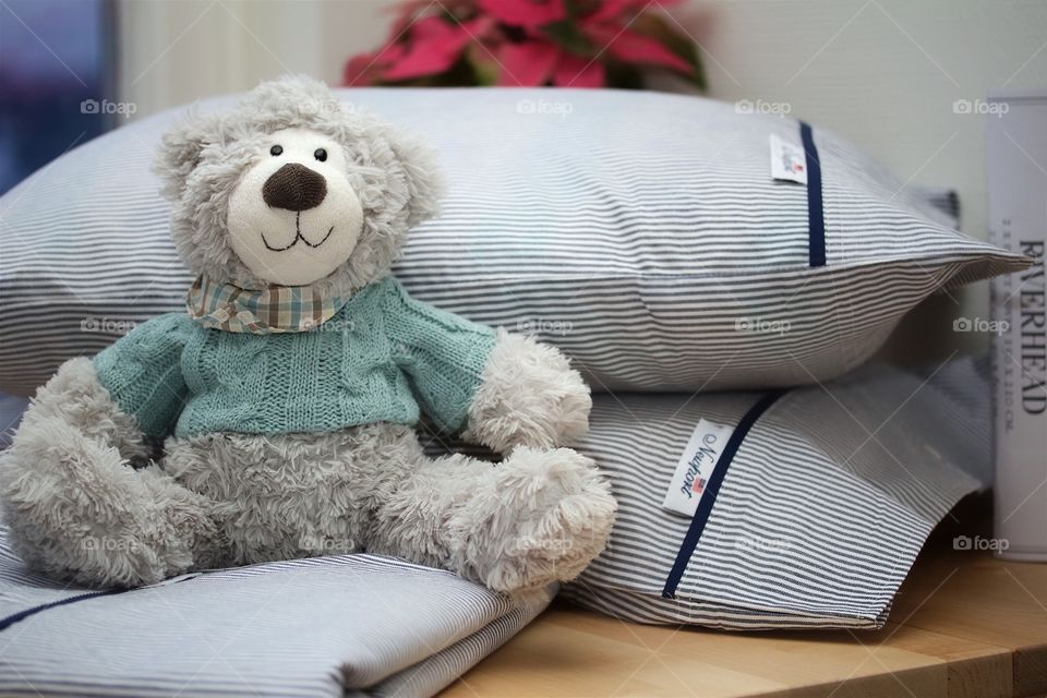 Teddy bear and bedding