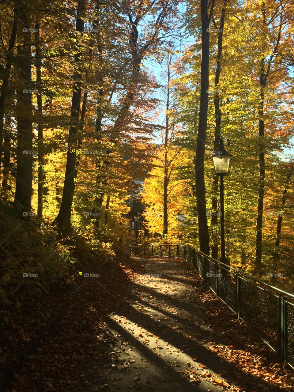 Fall in Innsbruck. Taken on my backpacking trip across Europe in Innsbruck, Austria. 