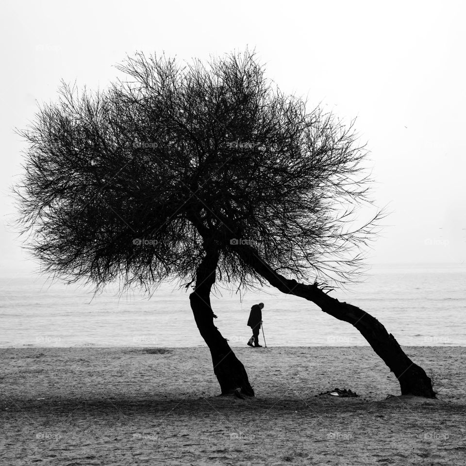 Nature is a beautiful thing, preserve it