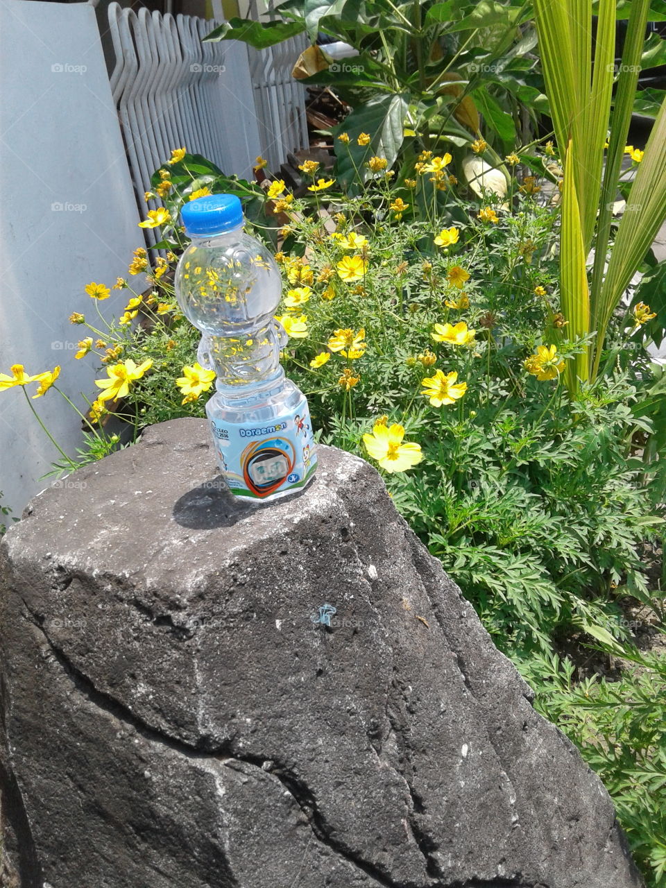 Doraemon Bottle and Yellow Flower...💛