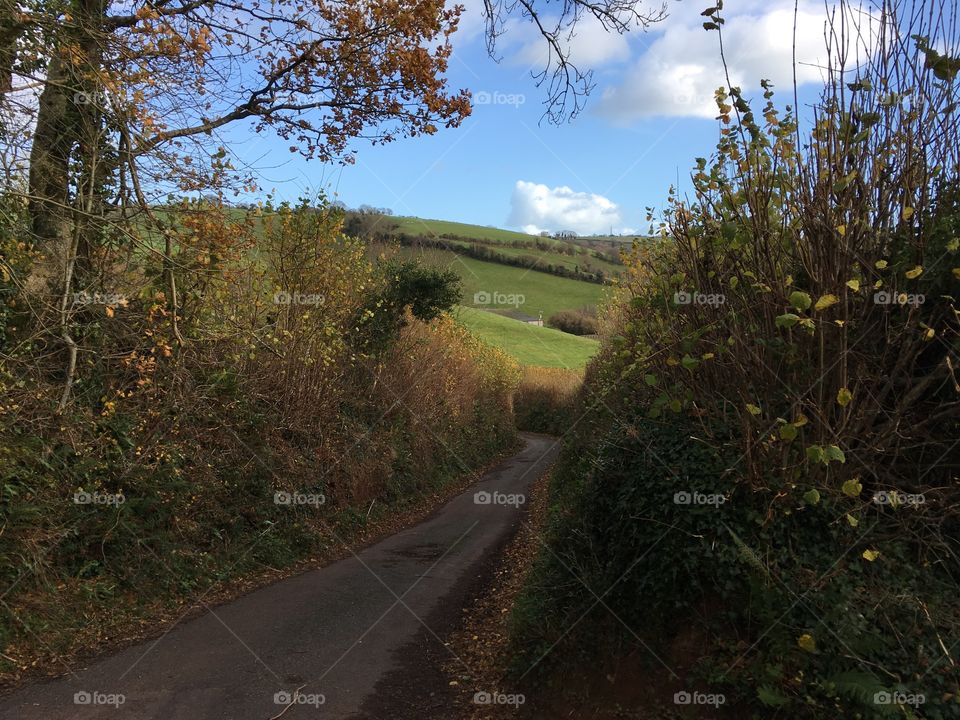Love the blue sky Devon countryside.