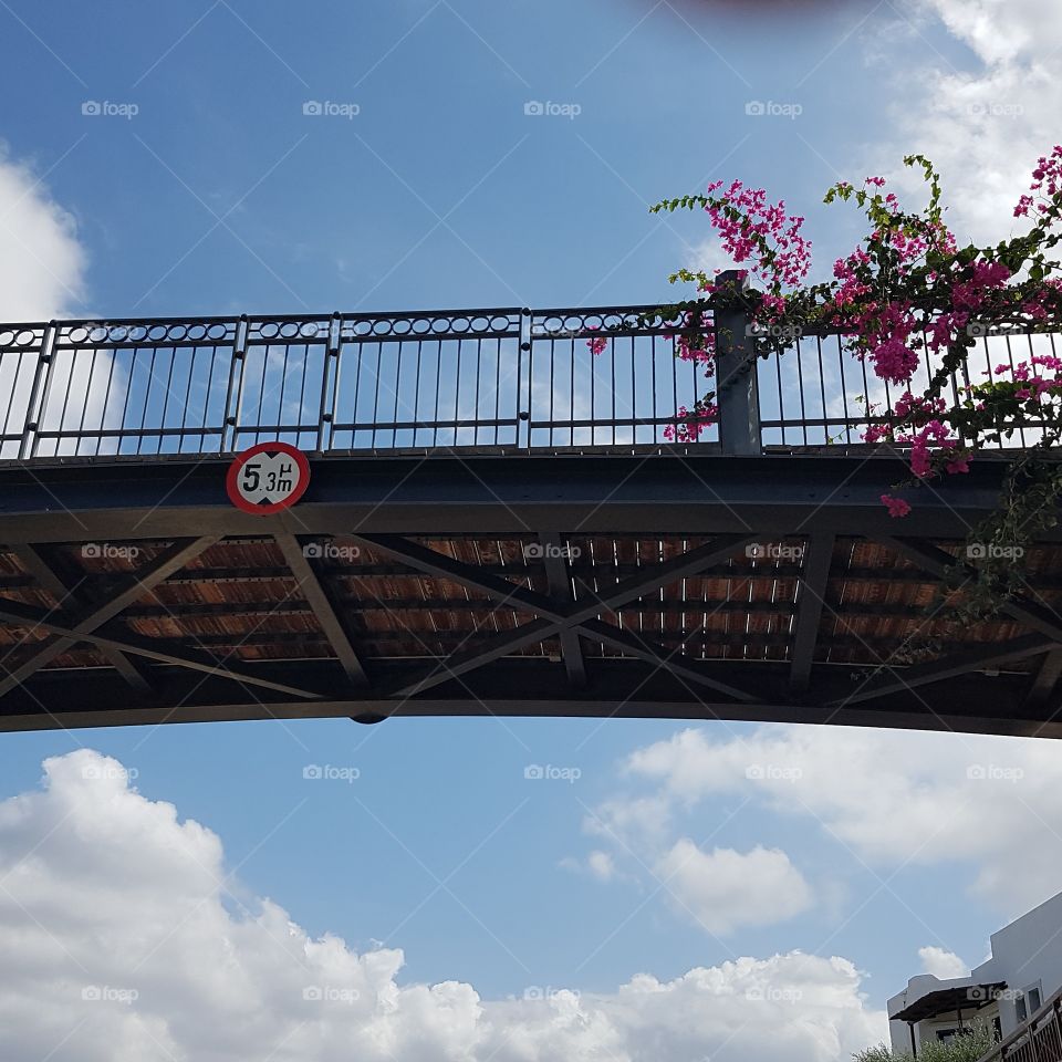 Brücke mit Blumen, bridge with flowers