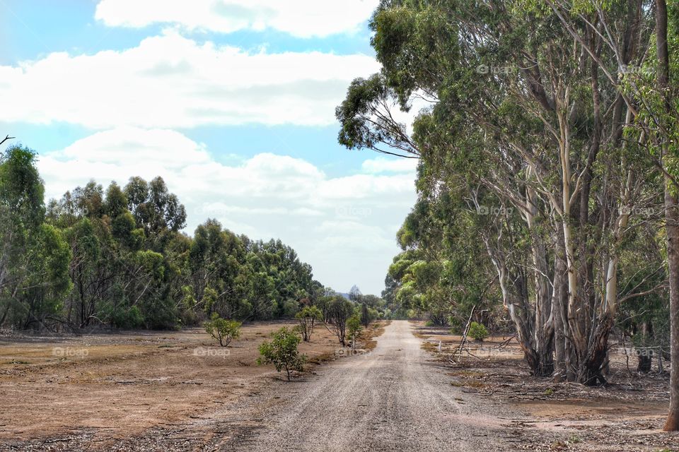 Landscape of Serendip Sanctuary