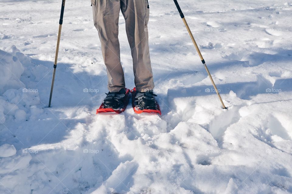 Snowshoes