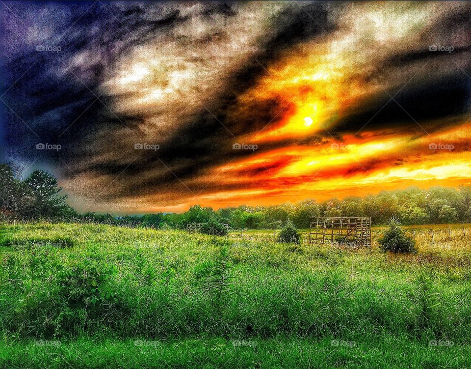 A blistering sunset . A sunset over an overgrown farm meadow 