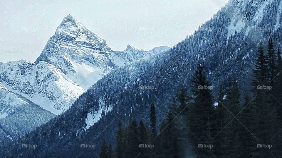 The great Canadian rockies