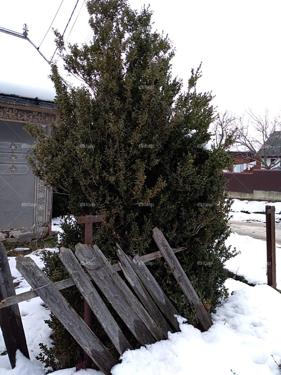 old fence under snow