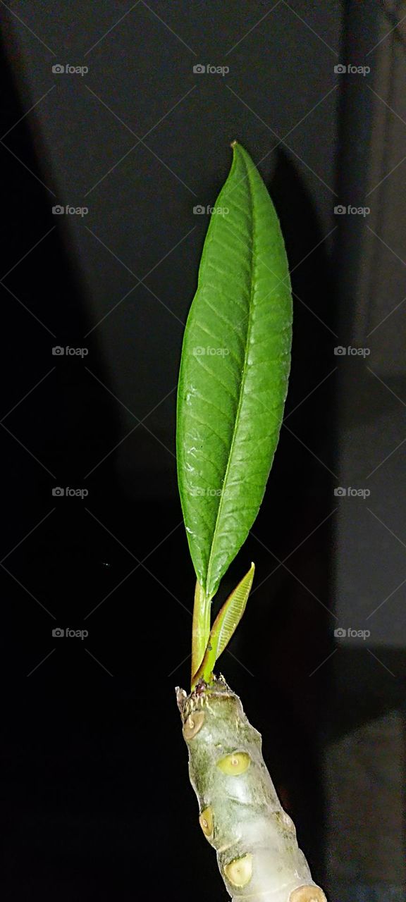 I am not sure what is going to happen next