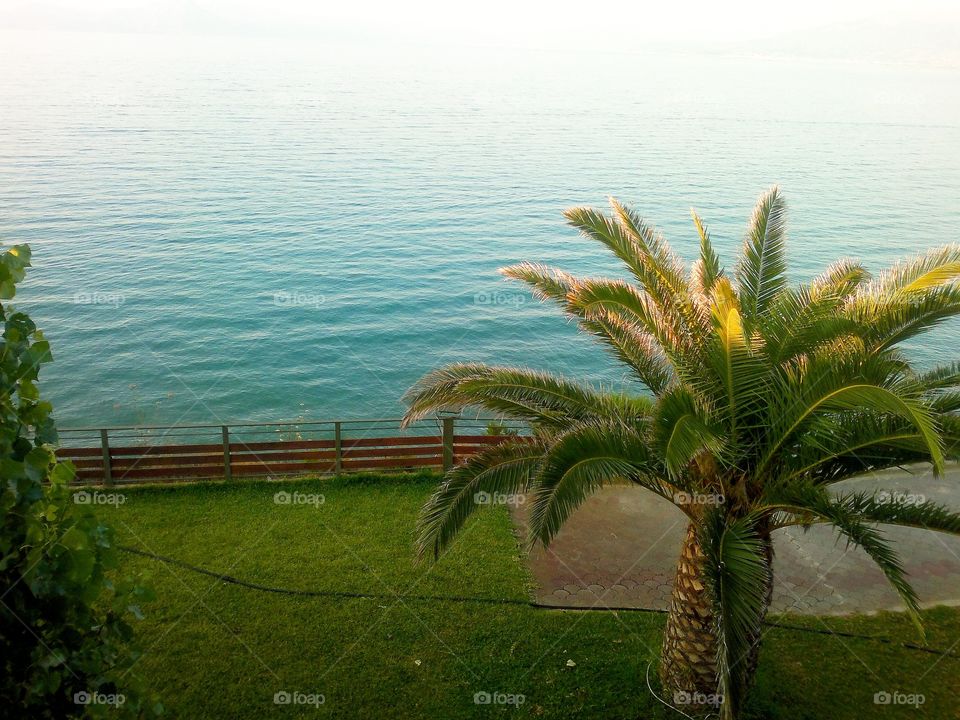 Sea view: trees, sea and mountains in the distance.  Morning in Greece