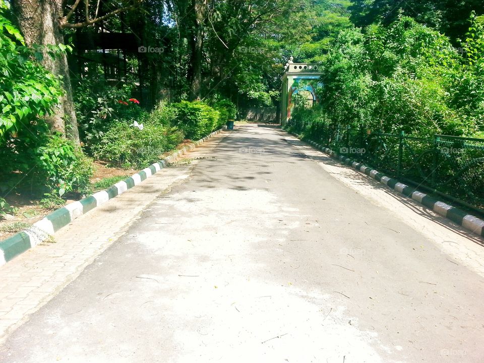 way of way. way to way