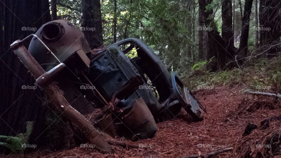 rotting car off Avenue of the Giants Humboldt state park