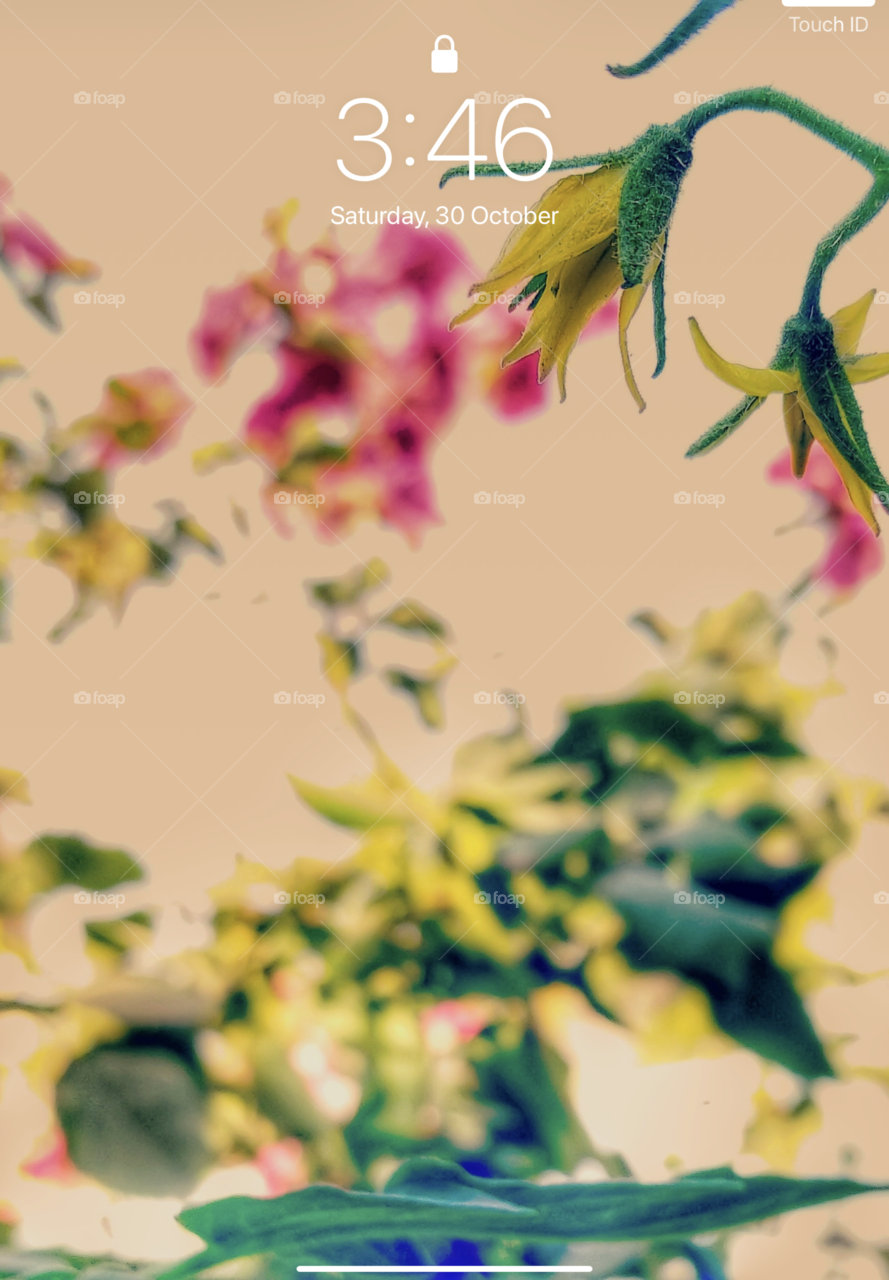 I am using my photo as wallpaper