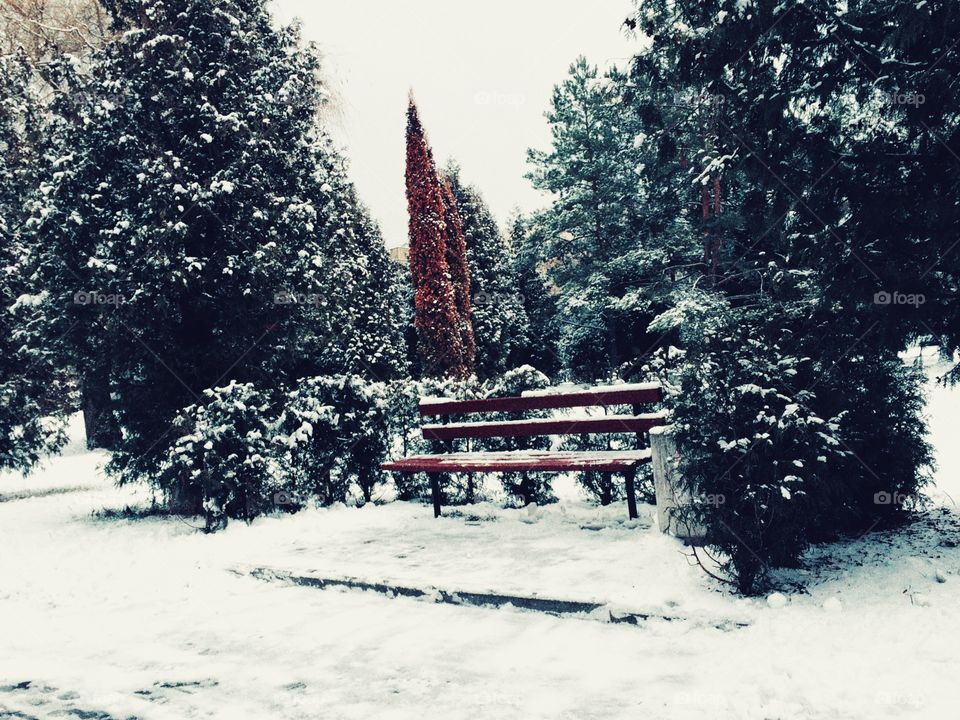 Bench in snow