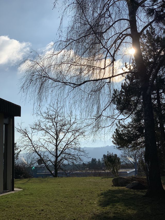 Swiss 