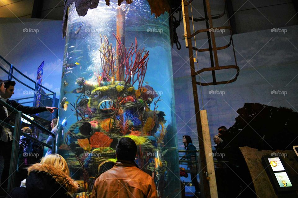 People watching coral reef in the Aquarium in Birmingham, UK