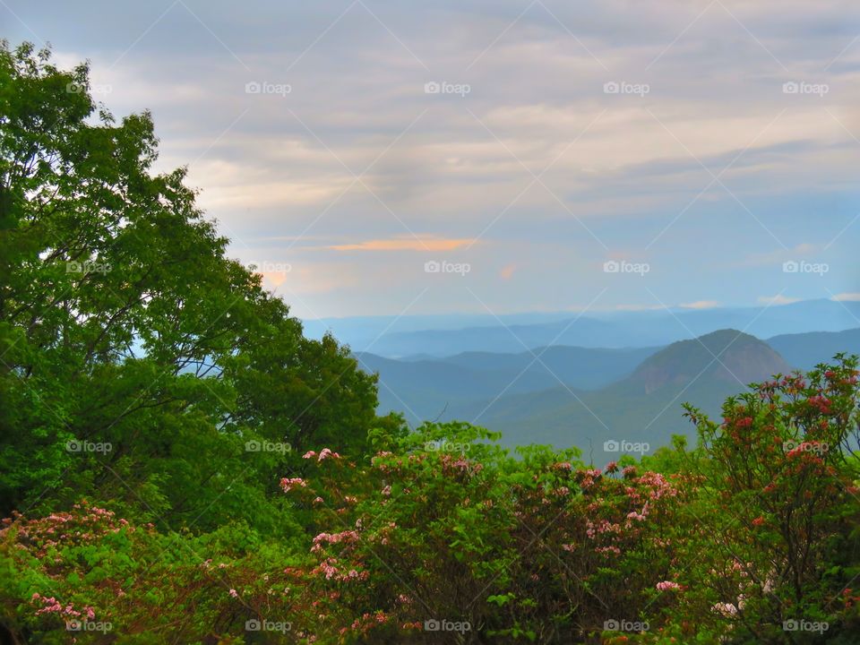 Blue ridge parkway 