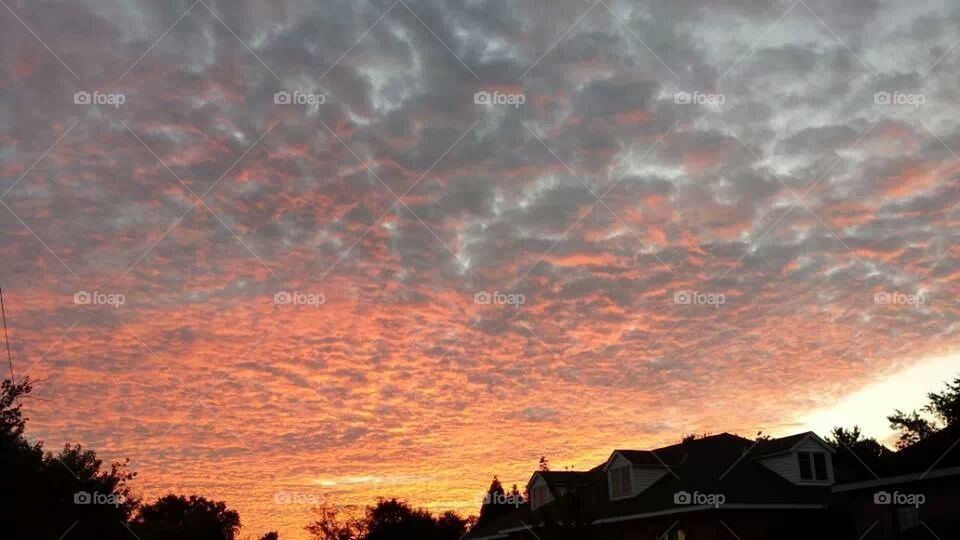 Sky on Fire