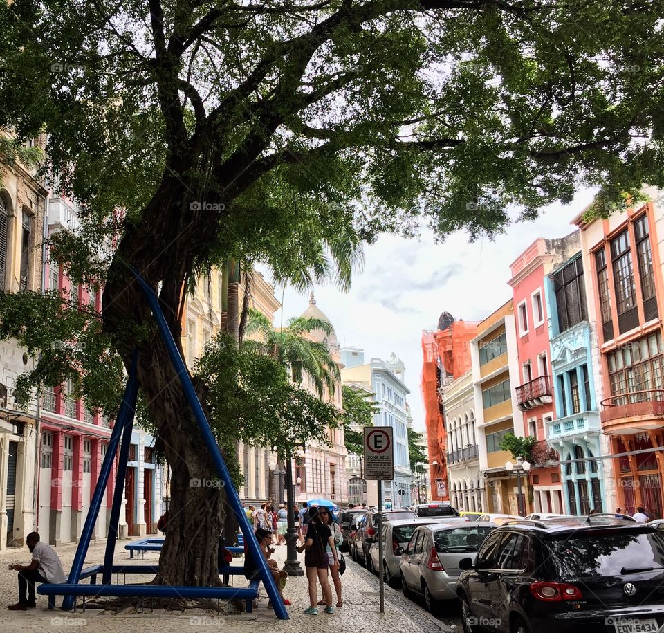 Recife, Pernambuco, Brazil 