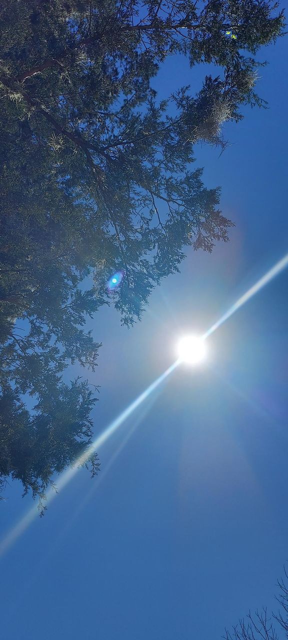 SUNSHINE 🌞☀️!!
