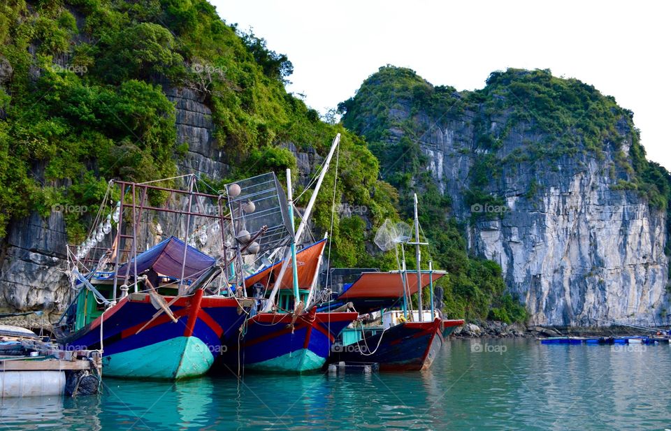 Halong Bay 