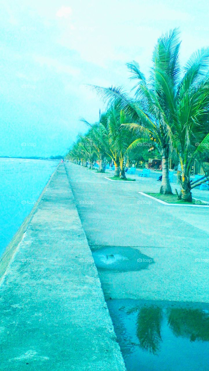 Sunset Boulevard
The longest boulevard in the Philippines
Found only in Dipolog City, Zamboanga Del Norte, Philippines.
