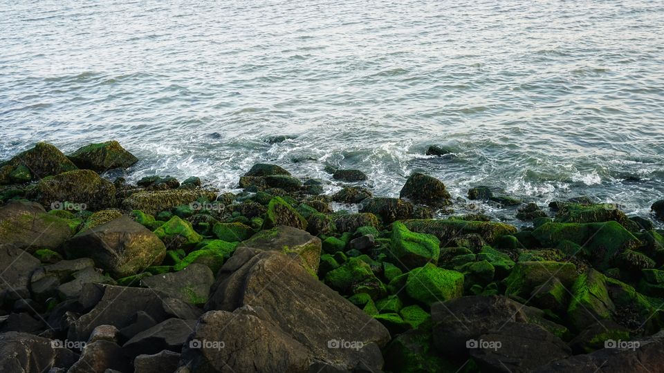 Only the ocean can keep your secrets.