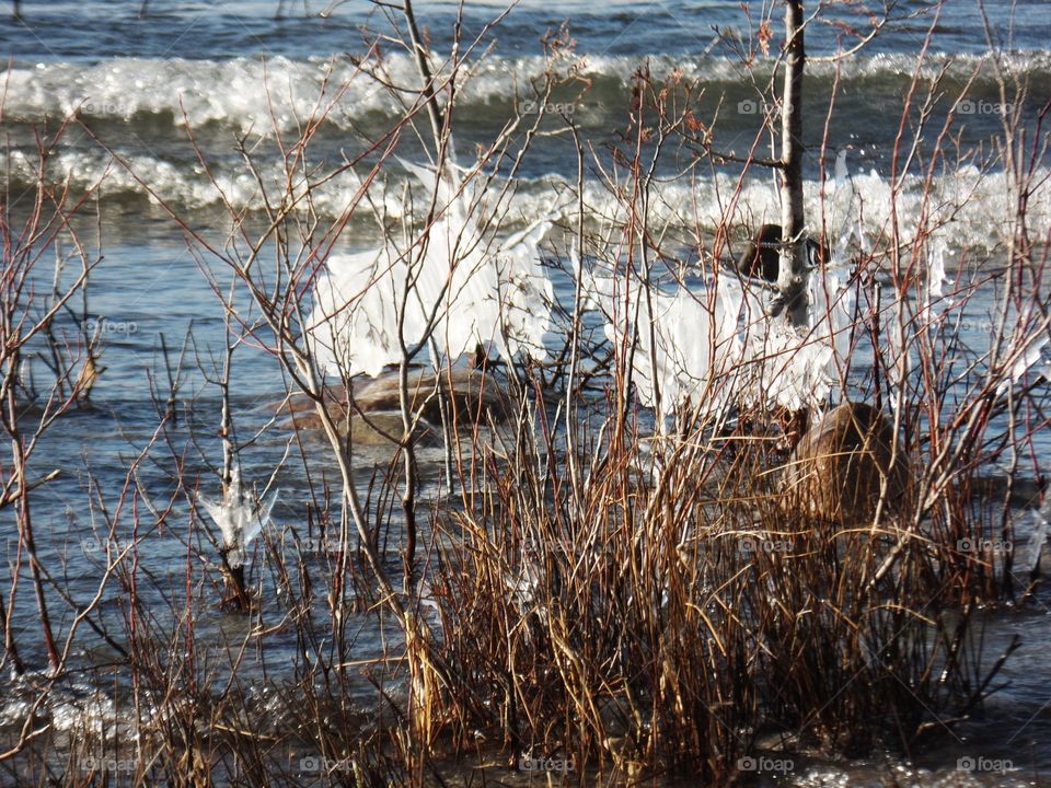 Northern Michigan 