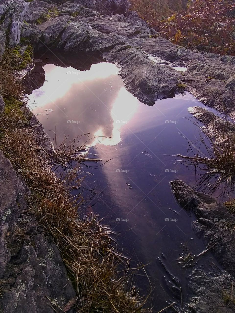 Puddle reflections
