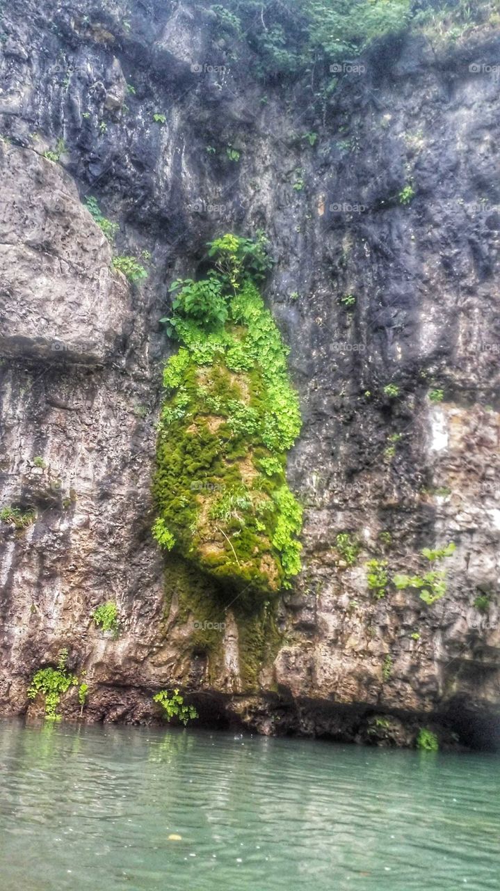 moss grows fat on a hanging stone