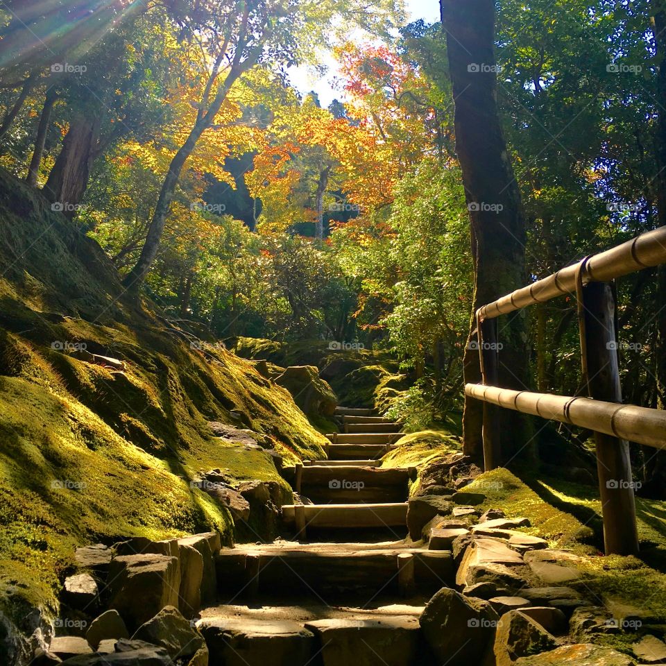 Mountain pathway in Kyoto