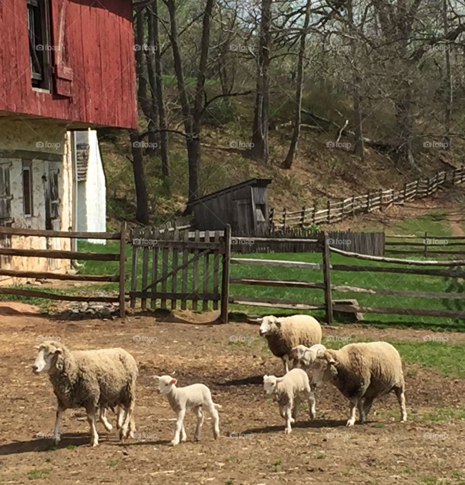 Pastoral scene Hopewell National Historic Site, Hopewell PA