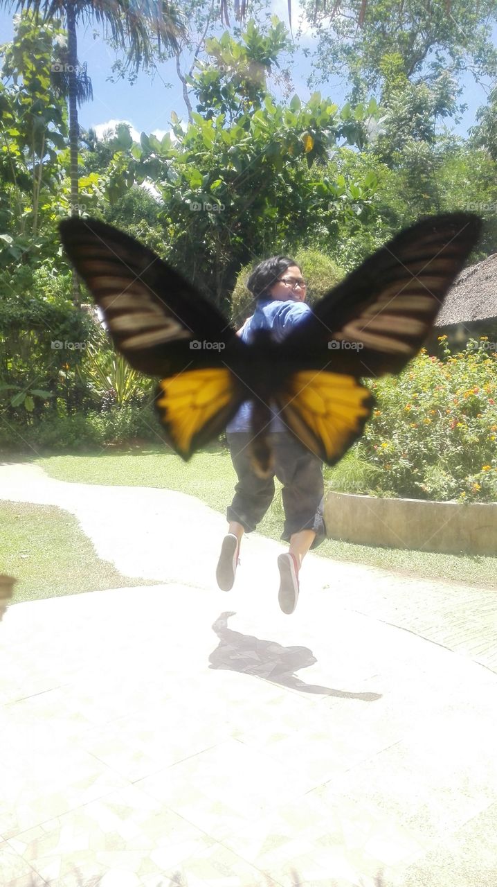 Butterfly  garden  bohol