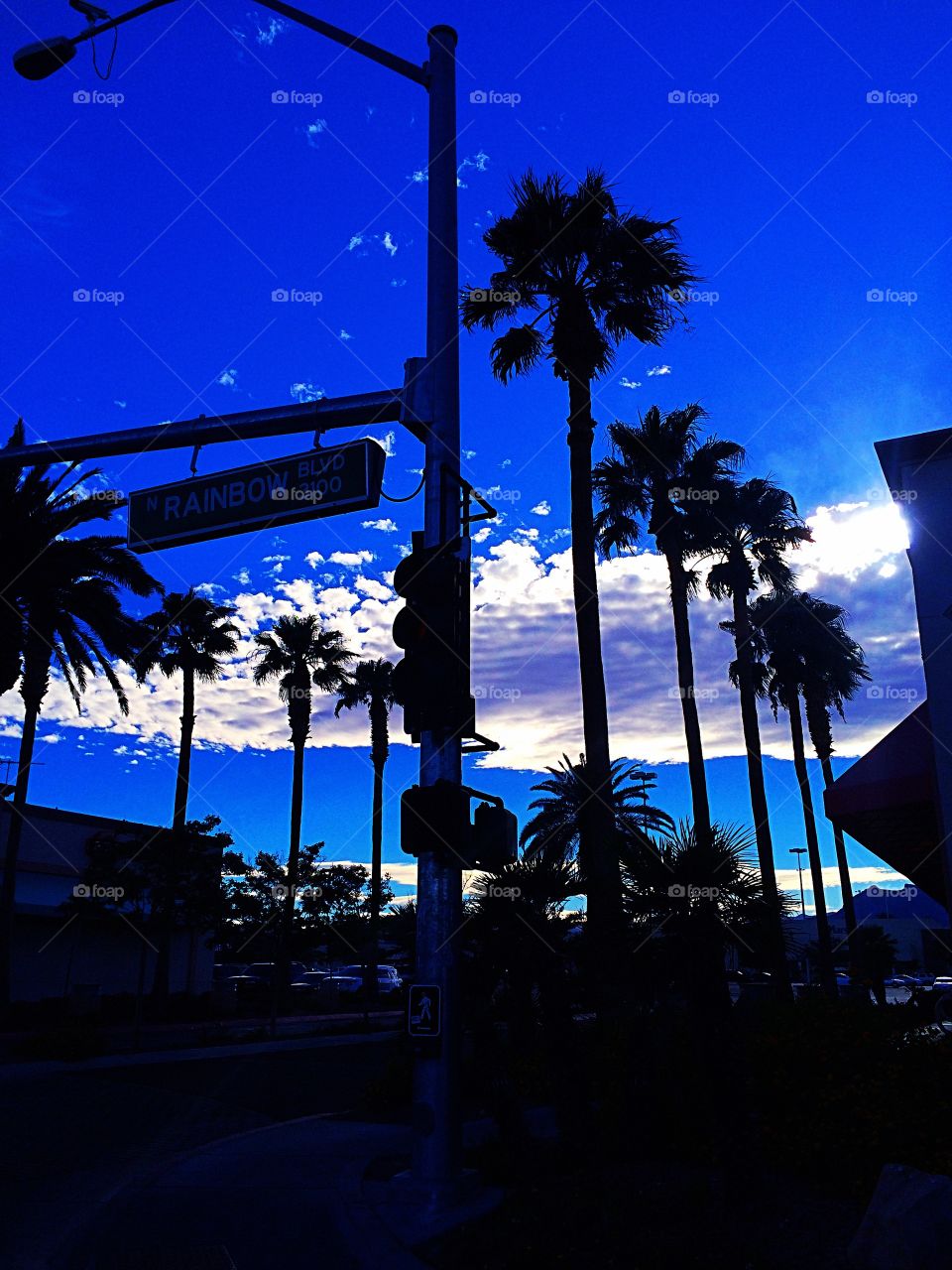 Las Vegas at sunset. Palm trees and the evening sun 