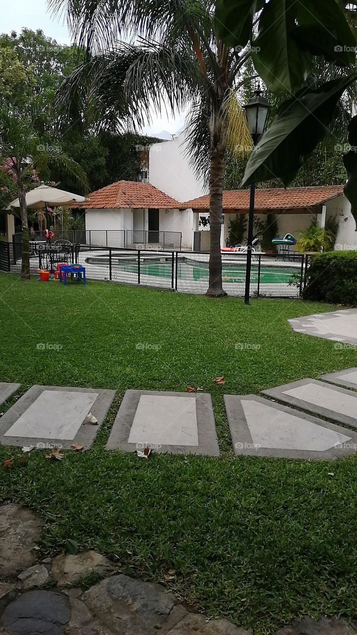 #pool#back yard#play#relaxing#grass#