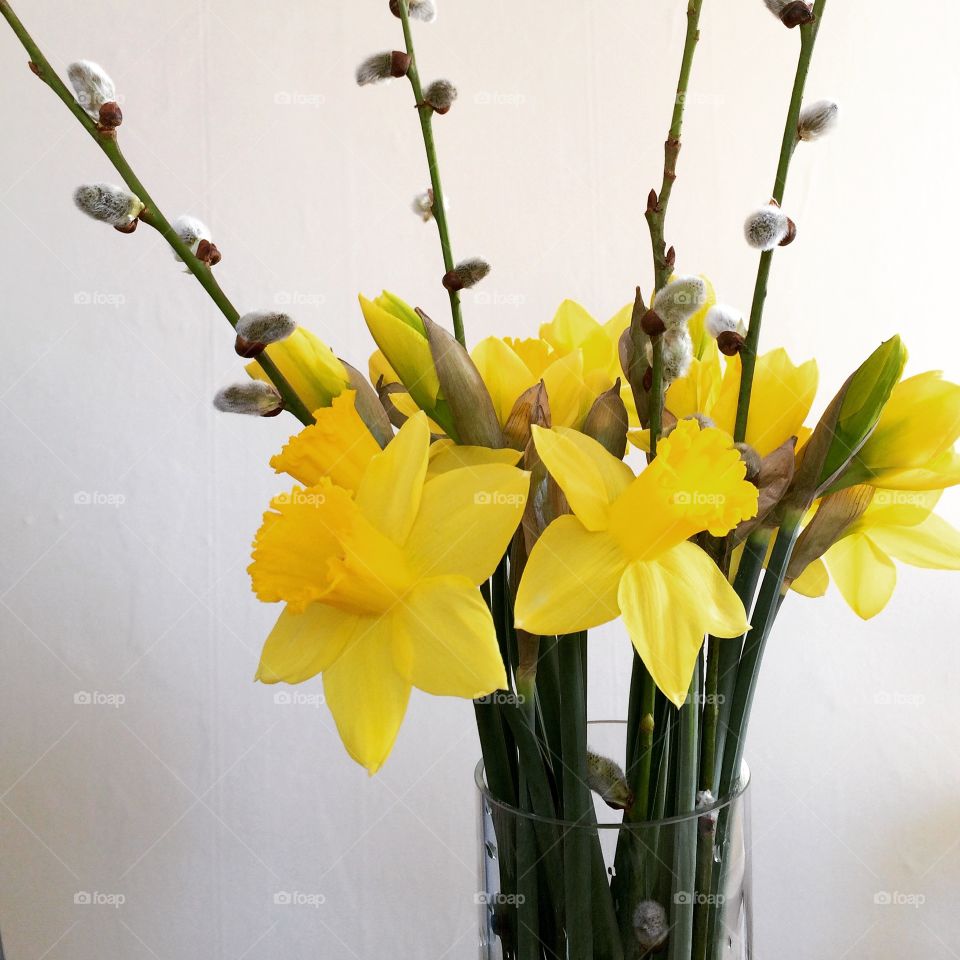 Daffodils in Vase 